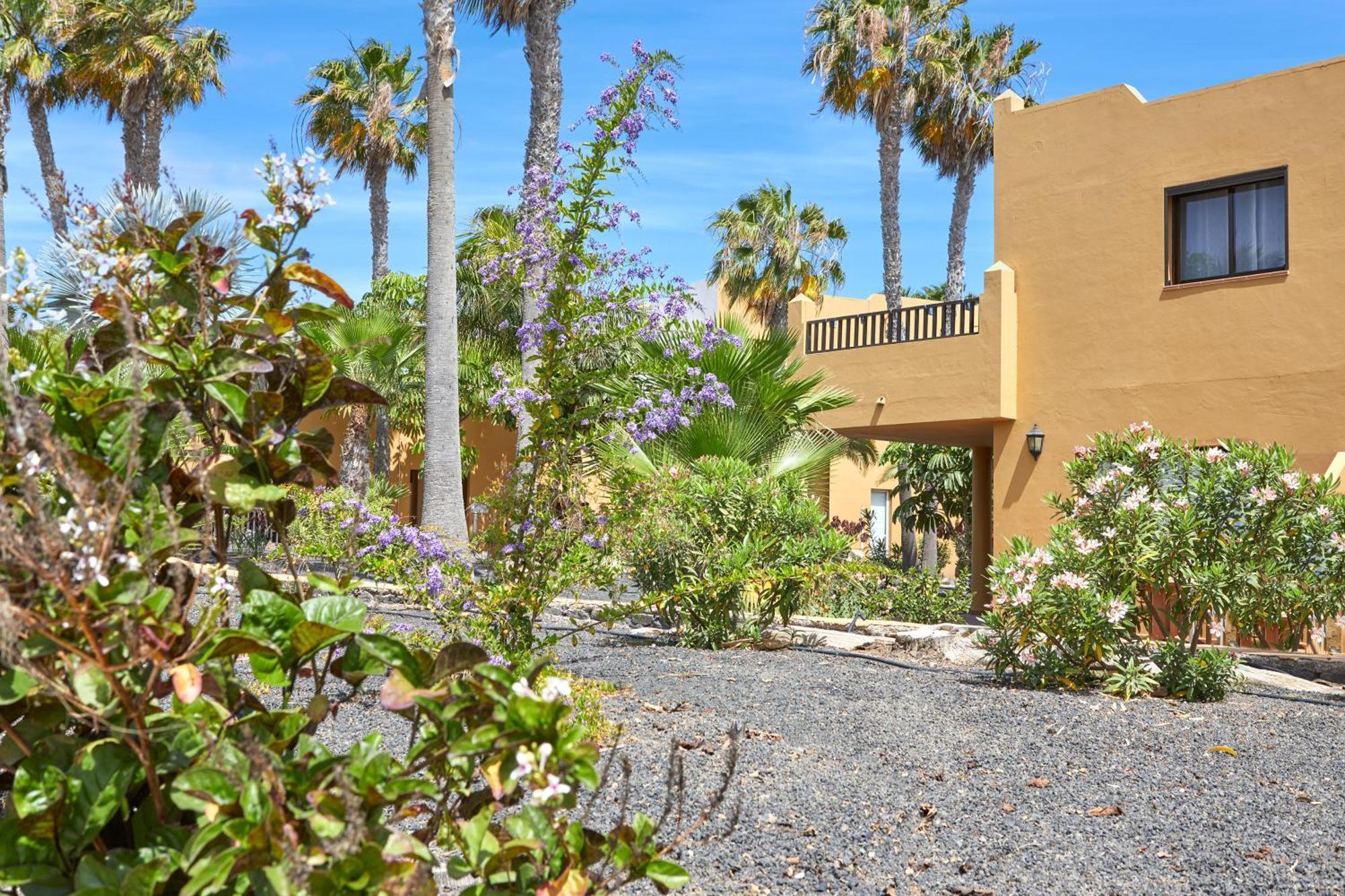 Apartamento Samira Fuerteventura Коралео Екстериор снимка