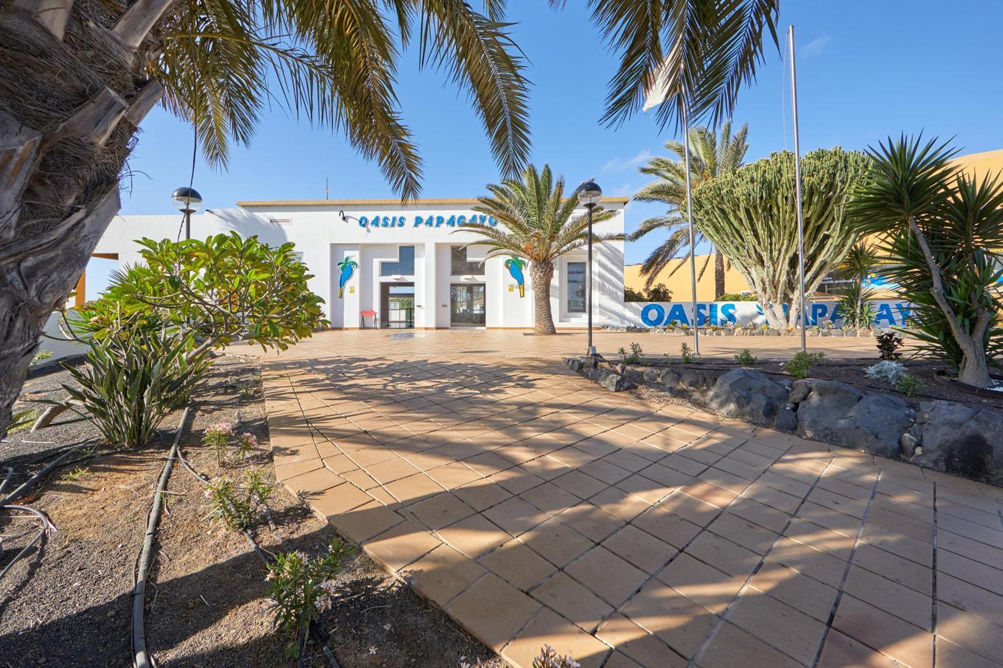 Apartamento Samira Fuerteventura Коралео Екстериор снимка